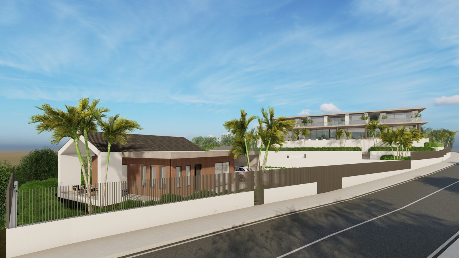 2025-05-21_11 - Photo