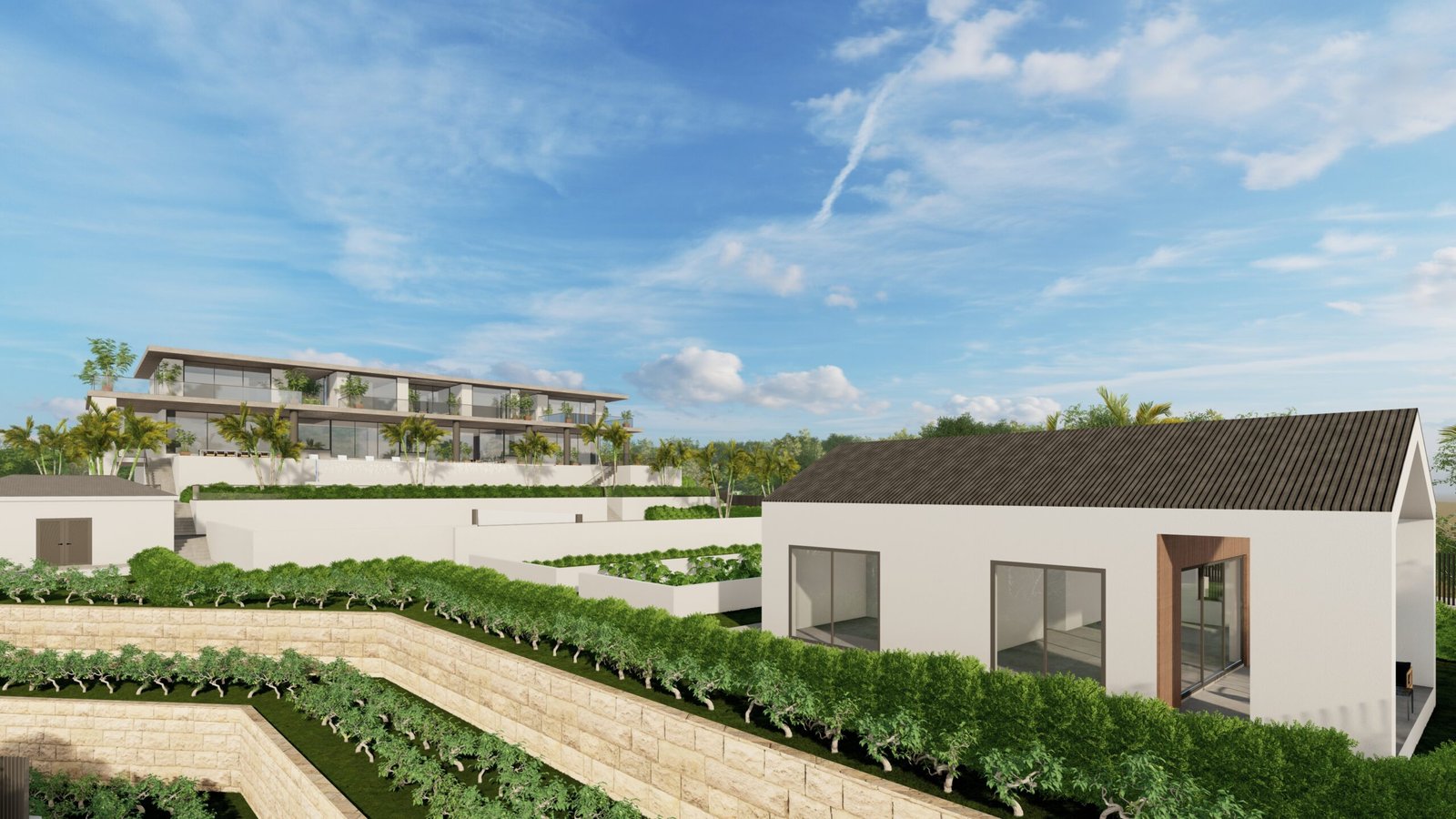 2025-05-21_12 - Photo