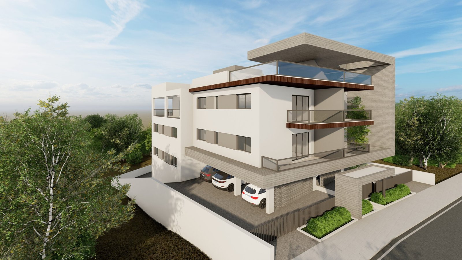 2026-01-15_6 - Photo