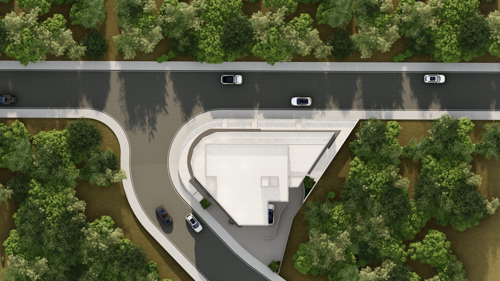 2026-03-10_10 - Photo